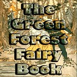 Green Forest Fairy Book