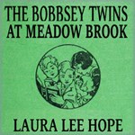 Bobbsey Twins at Meadow Brook