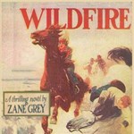 Wildfire