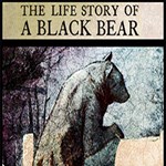 Life Story of a Black Bear