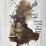 Mountebank