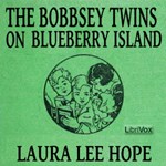 Bobbsey Twins on Blueberry Island