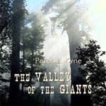 Valley of the Giants