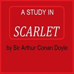 Study In Scarlet (version 5)