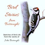 Bird Stories from Burroughs