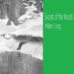 Secrets of the Woods